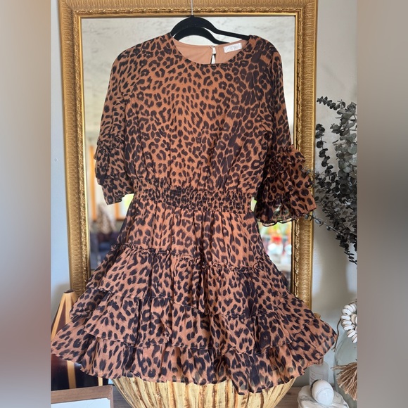vestique Dresses & Skirts - Vestique Brown Animal Print Dress